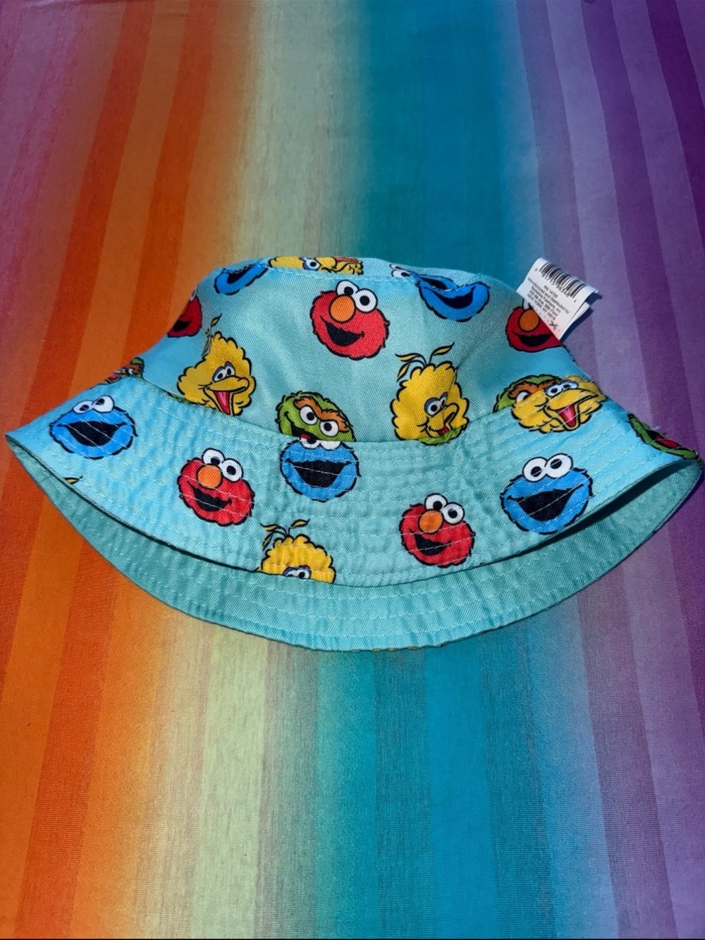 Sesame Street Bucket Hat  *NEW*